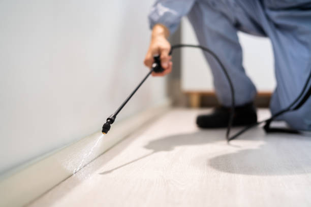 Licensed Termite Control service in Fremont, CA - Nex Pest Control