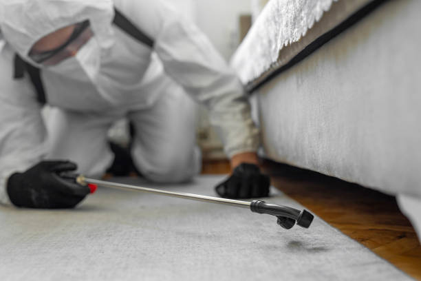 Professional Termite Control technician working in Fremont, CA