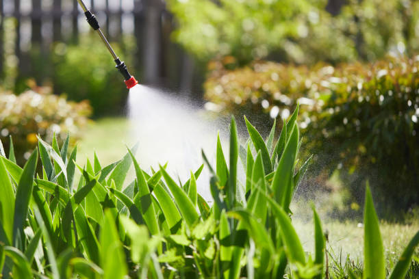 24/7 Emergency Termite Control experts in Fremont, CA