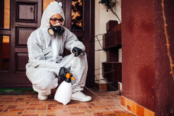 Reliable Termite Control contractor in Fremont, CA by Nex Pest Control